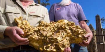 71 kilo dev altını ormanda ayağına takılan metalle buldu